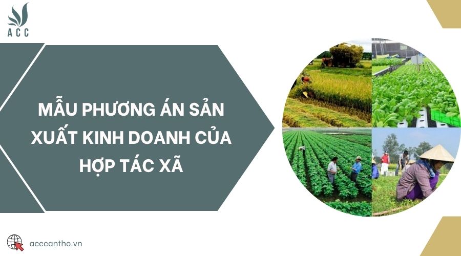 Mẫu phương án sản xuất fv888 của hợp tác xã