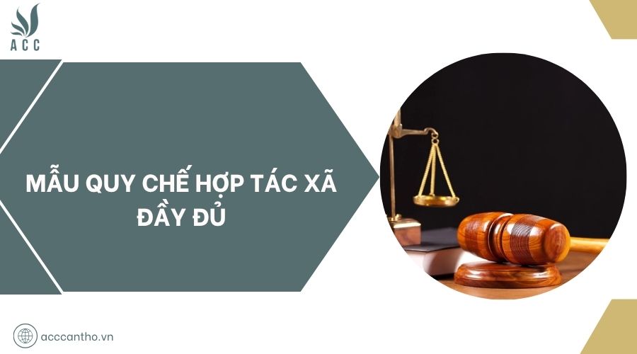 Mẫu quy chế hợp tác xã đầy đủ