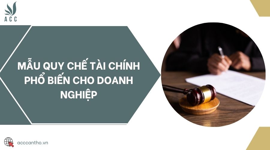 Mẫu quy chế tài chính phổ biến cho doanh nghiệp