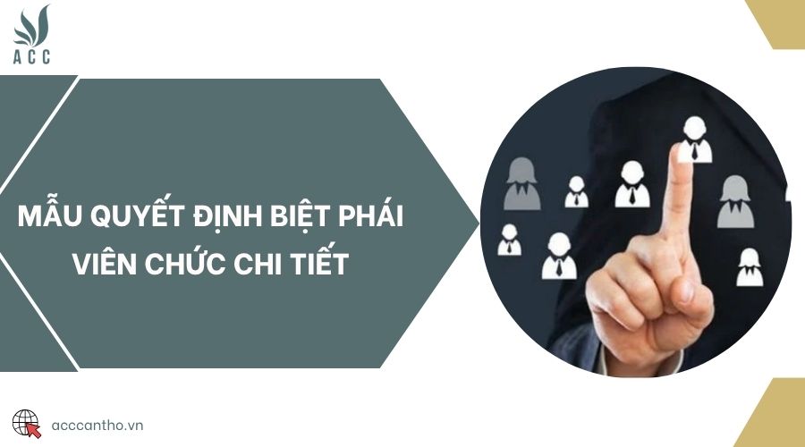 Mẫu quyết định biệt phái viên chức chi tiết