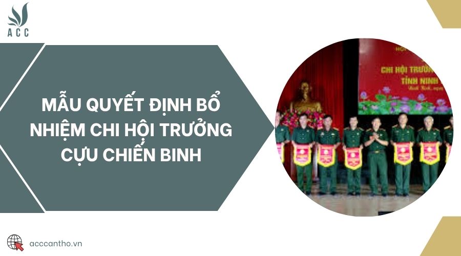 Mẫu quyết định bổ nhiệm chi hội trưởng cựu chiến binh