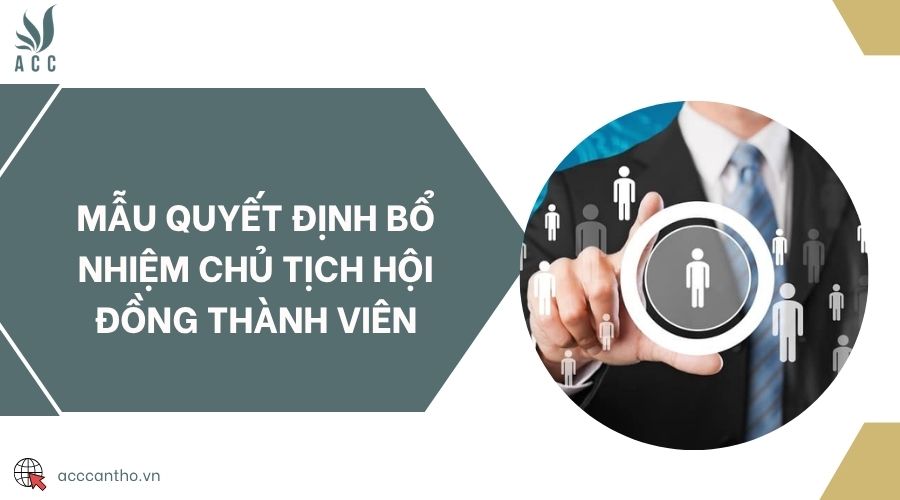 Mẫu quyết định bổ nhiệm chủ tịch hội đồng thành viên