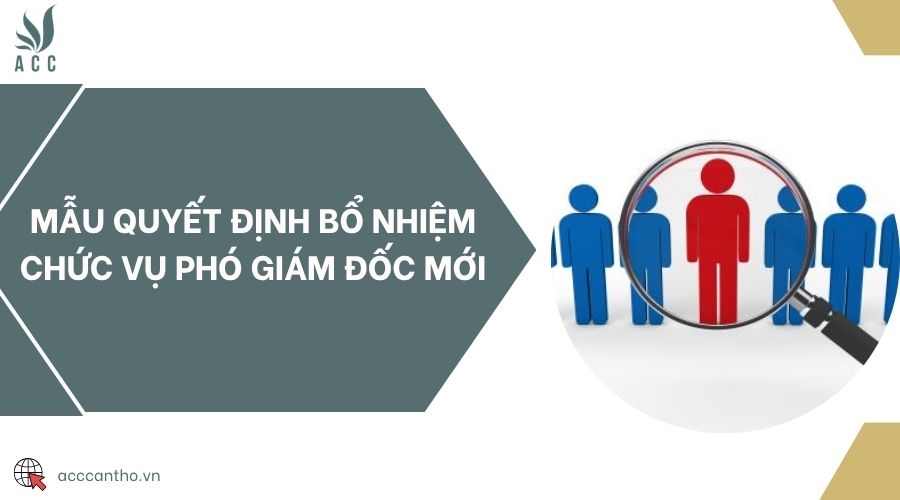 Mẫu quyết định bổ nhiệm chức vụ Phó Giám đốc mới