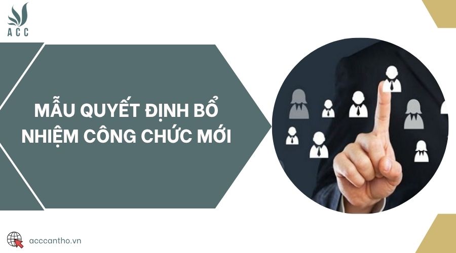 Mẫu quyết định bổ nhiệm công chức mới