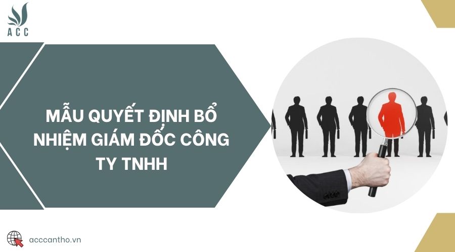 Mẫu quyết định bổ nhiệm giám đốc công ty TNHH