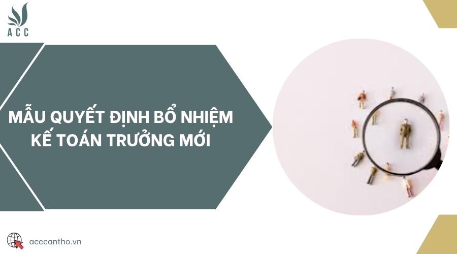 Mẫu quyết định bổ nhiệm kế toán trưởng mới
