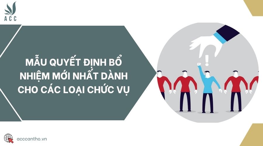 Mẫu quyết định bổ nhiệm mới nhất dành cho các loại chức vụ
