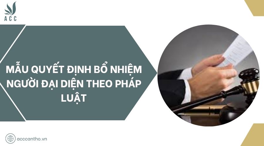 Mẫu quyết định bổ nhiệm người đại diện theo pháp luật