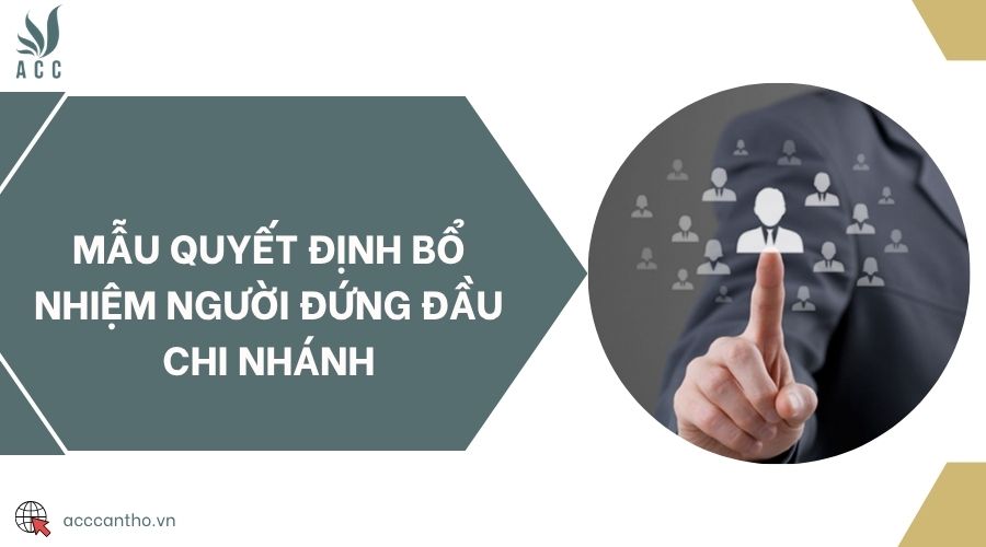 Mẫu quyết định bổ nhiệm người đứng đầu chi nhánh
