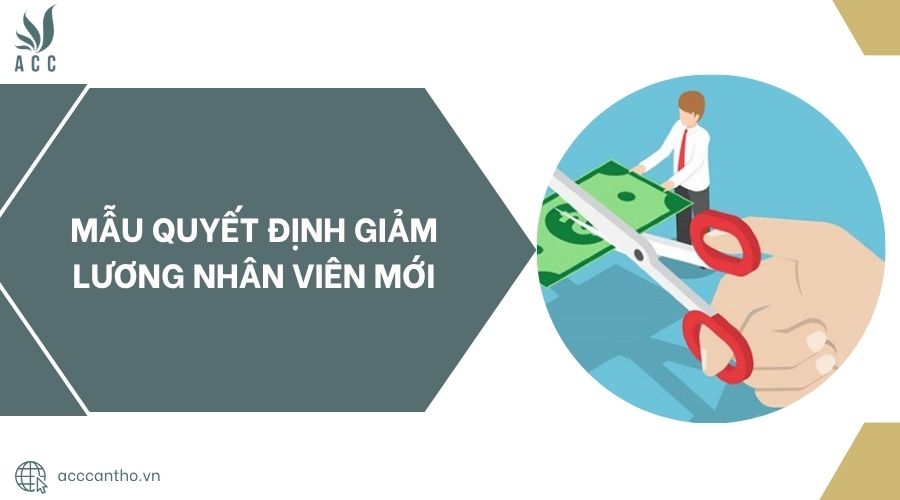Mẫu quyết định giảm lương nhân viên mới