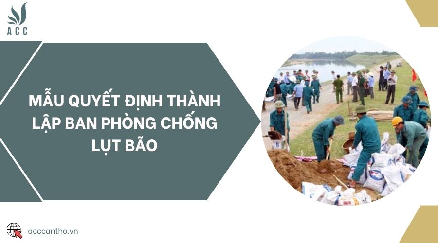 Mẫu quyết định thành lập ban phòng chống lụt bão