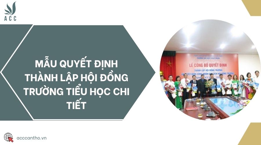 Mẫu quyết định thành lập hội đồng trường tiểu học chi tiết