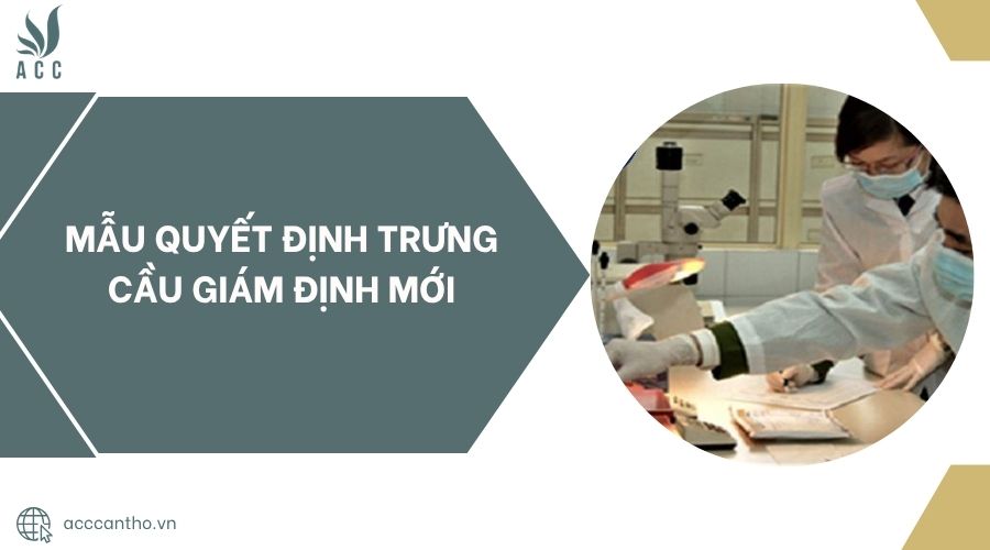 Mẫu quyết định trưng cầu giám định mới