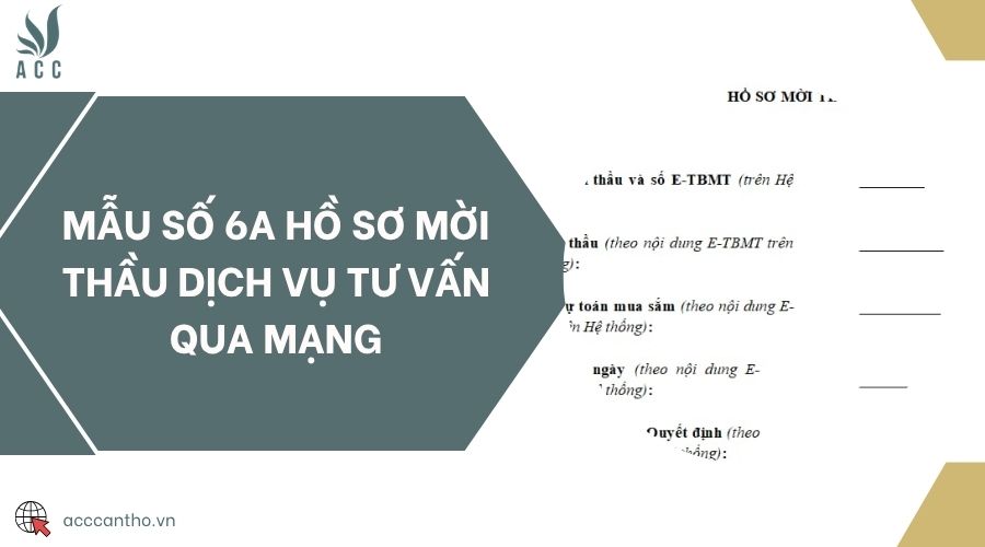 Mẫu số 6A hồ sơ mời thầu fv888 tư vấn qua mạng