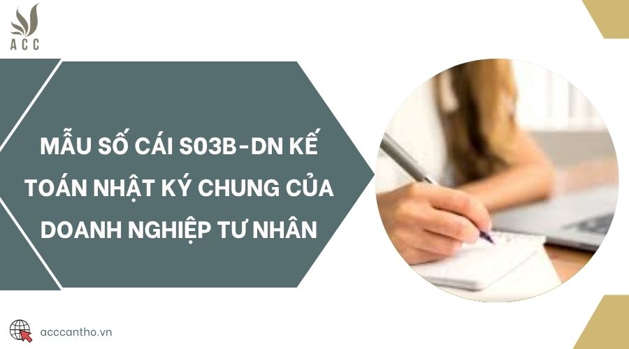 Mẫu số cái S03b-DN kế toán nhật ký chung của doanh nghiệp tư nhân