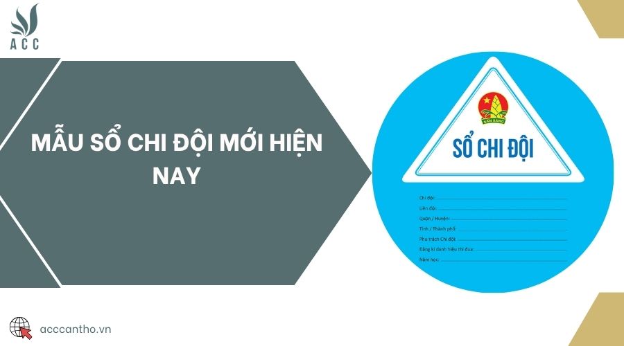 Mẫu sổ chi đội mới hiện nay