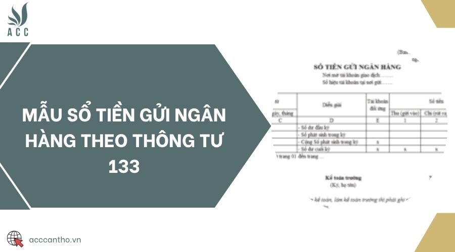 Mẫu sổ tiền gửi ngân hàng theo Thông tư 133