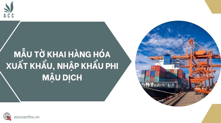 Mẫu tờ khai hàng hóa xuất khẩu, nhập khẩu phi mậu dịch