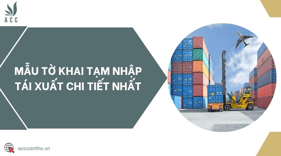 Mẫu tờ khai tạm nhập tái xuất chi tiết nhất