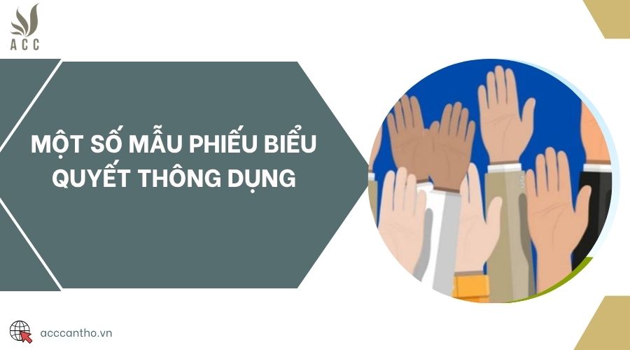 Một số mẫu phiếu biểu quyết thông dụng