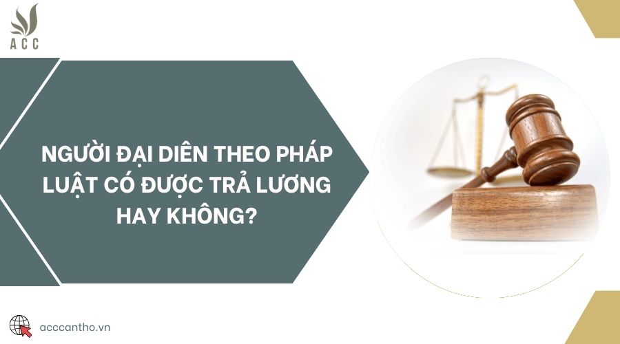 Người đại diên theo pháp luật có được trả lương hay không?