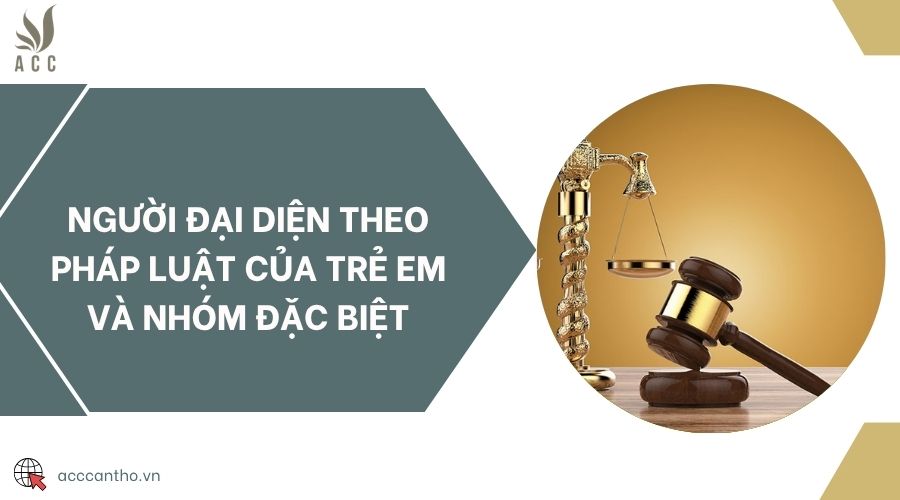 Người đại diện theo pháp luật của trẻ em và nhóm đặc biệt