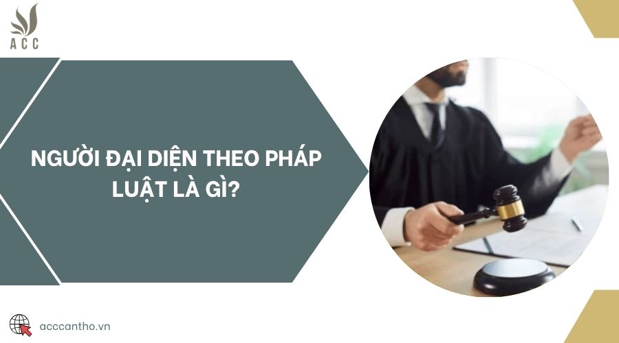 Người đại diện theo pháp luật là gì?