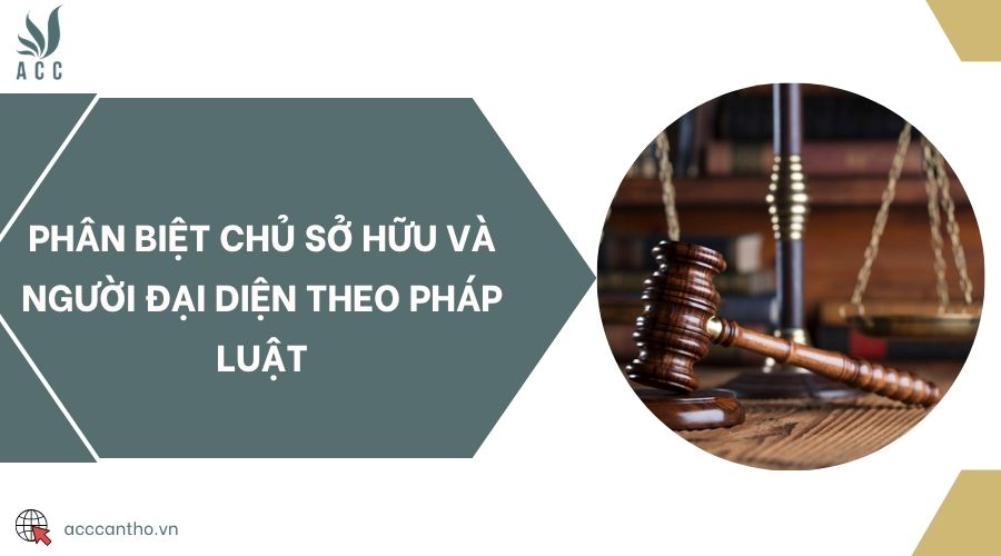 Phân biệt chủ sở hữu và người đại diện theo pháp luật