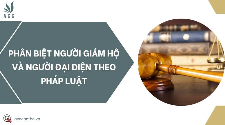 Phân biệt người giám hộ và người đại diện theo pháp luật
