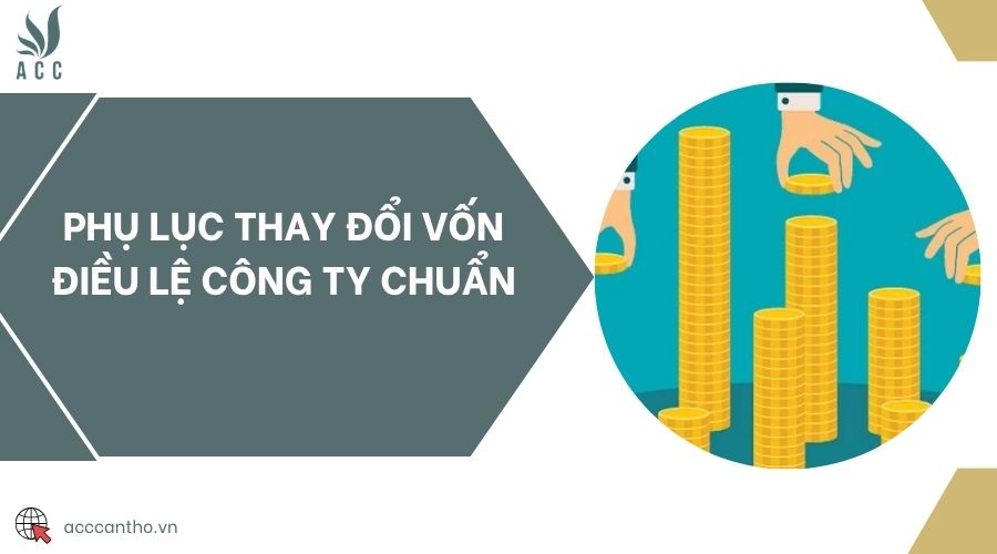 Phụ lục thay đổi vốn điều lệ công ty chuẩn