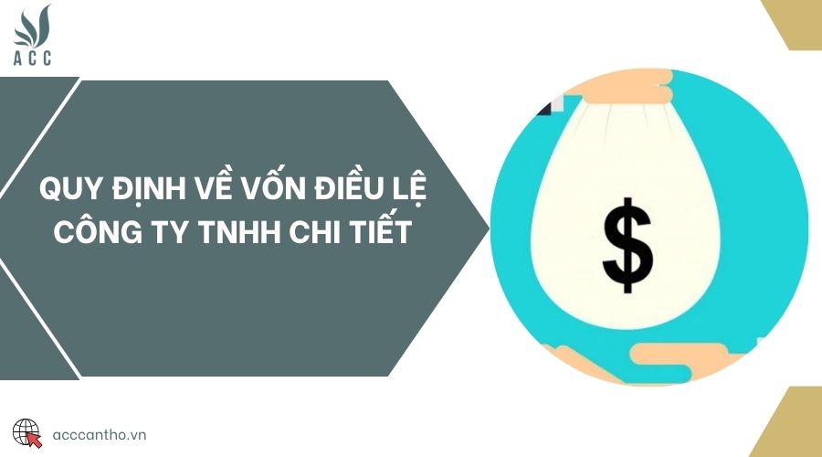 Quy định về vốn điều lệ công ty TNHH chi tiết