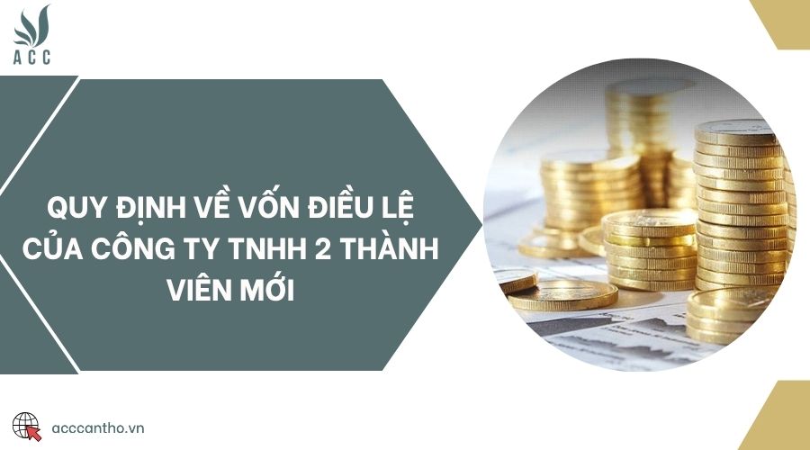 Quy định về vốn điều lệ của công ty TNHH 2 thành viên mới