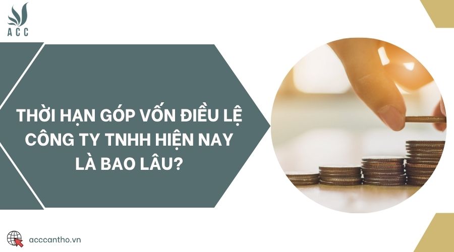 Thời hạn góp vốn điều lệ công ty TNHH hiện nay là bao lâu?