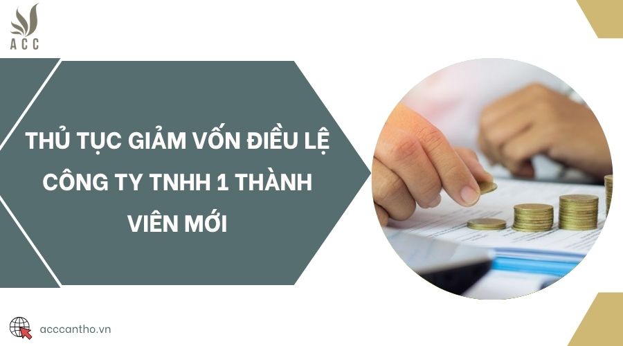 Thủ tục giảm vốn điều lệ công ty TNHH 1 thành viên