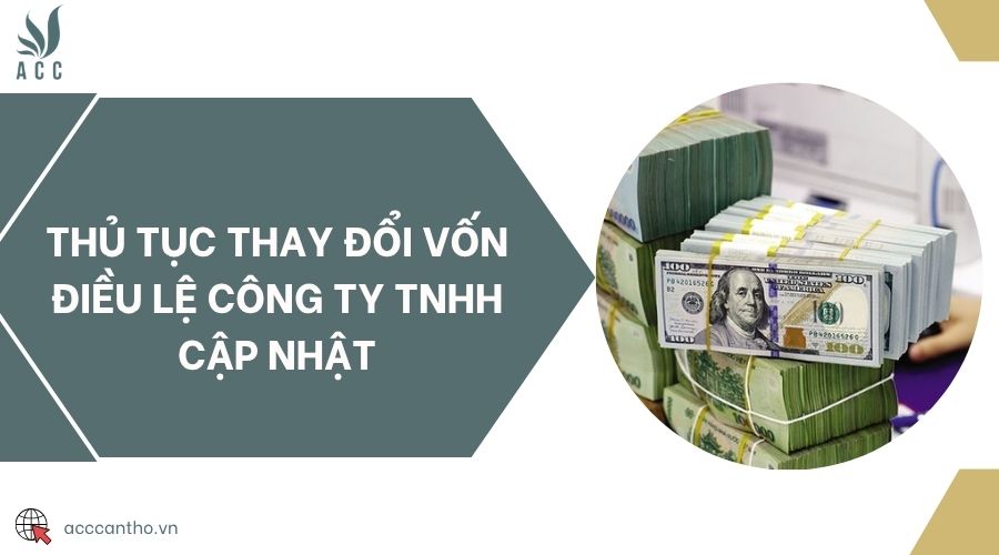 Thủ tục thay đổi vốn điều lệ công ty một thành viên chuẩn