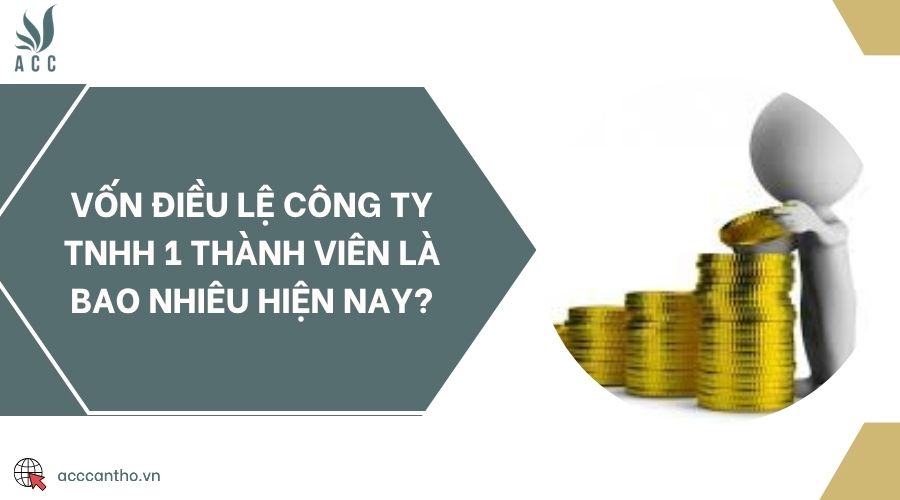 Vốn điều lệ công ty TNHH 1 thành viên là bao nhiêu hiện nay?