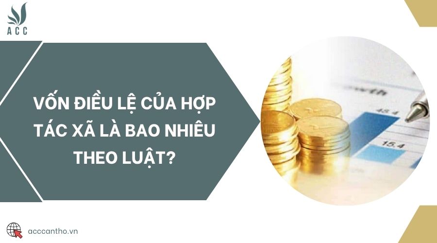 Vốn điều lệ của hợp tác xã là bao nhiêu theo luật?