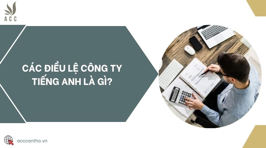 Các điều lệ công ty tiếng anh là gì?