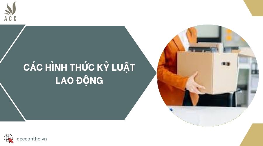 Các hình thức kỷ luật fv88 link