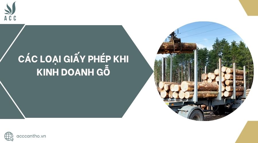 Các loại giấy phép khi fv888 gỗ