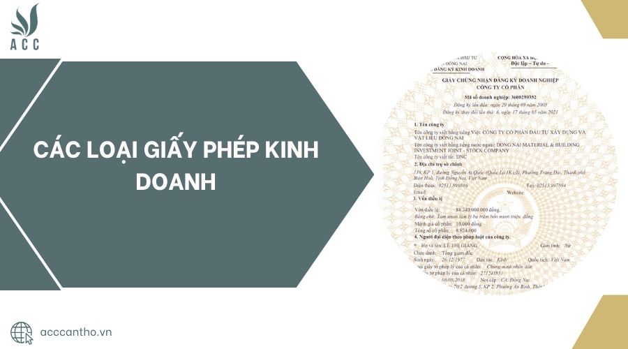 Các loại giấy phép fv888