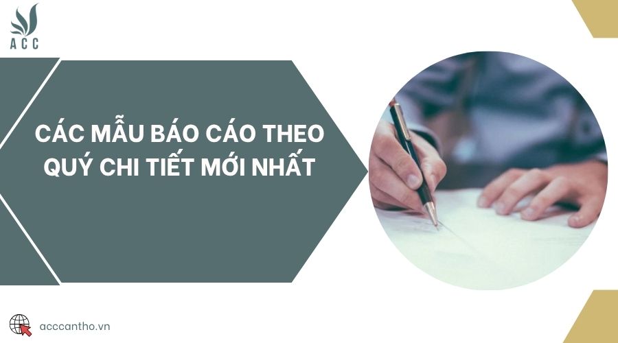 Các mẫu báo cáo theo quý chi tiết mới nhất