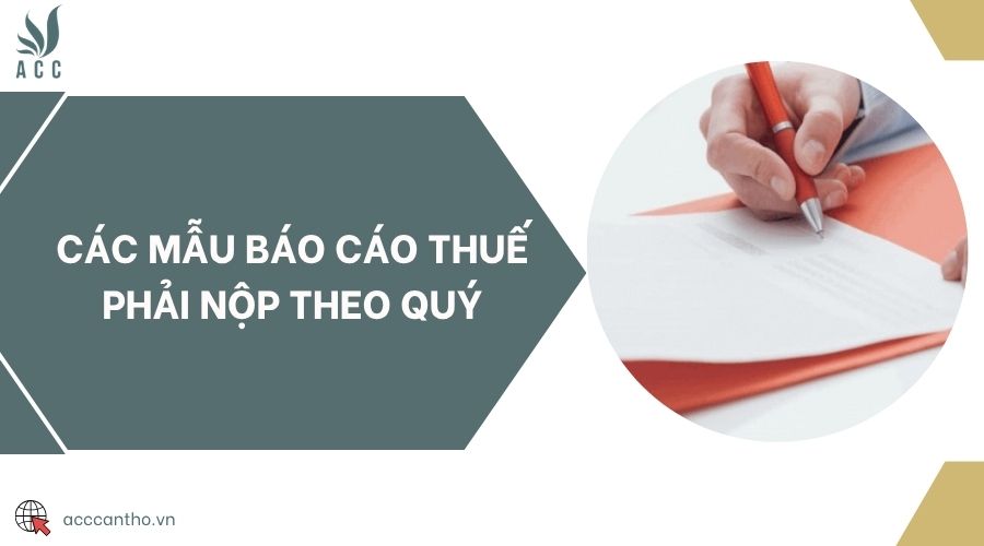 Các mẫu báo cáo thuế phải nộp theo quý