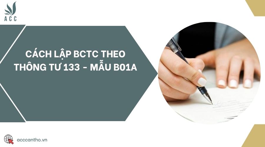 Cách lập BCTC theo Thông tư 133 - Mẫu B01a