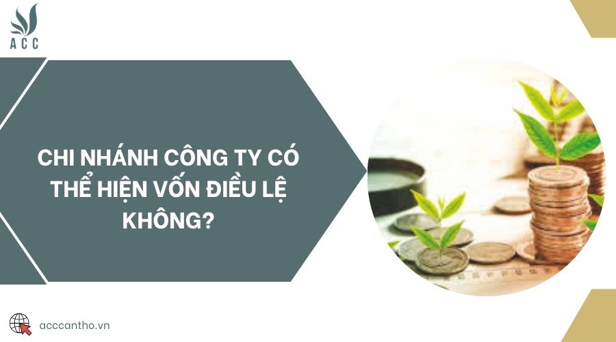 Chi nhánh công ty có thể hiện vốn điều lệ không?