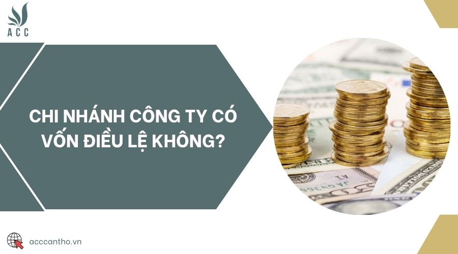 Chi nhánh công ty có vốn điều lệ không?