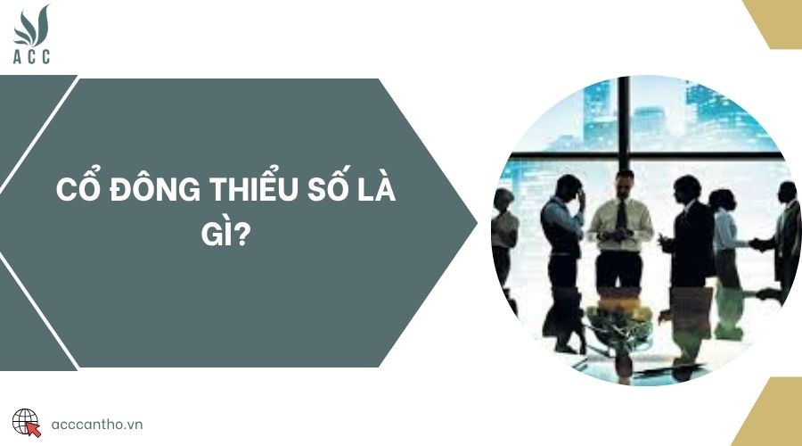 Cổ đông thiểu số là gì?