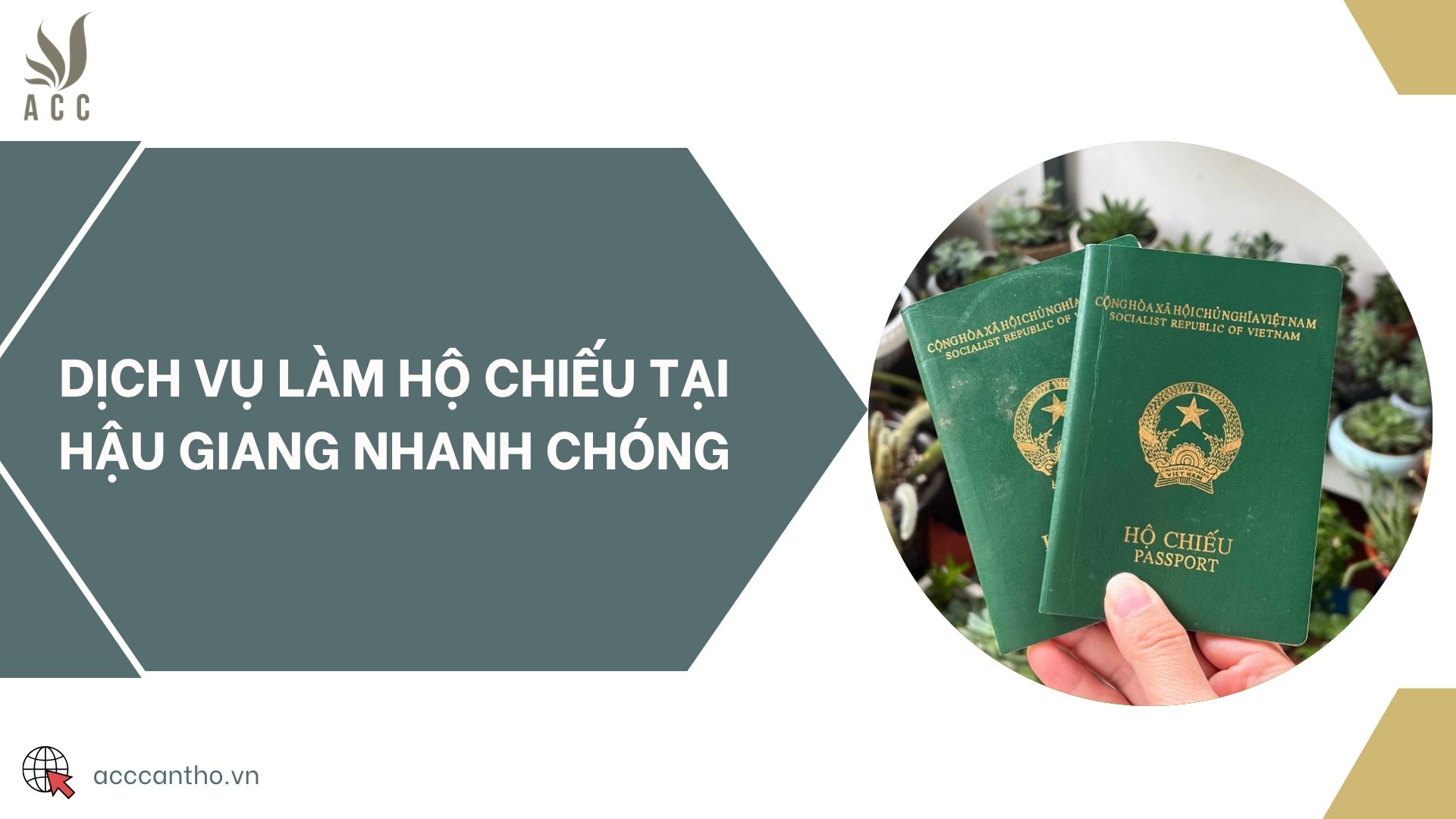 Dịch vụ làm hộ chiếu tại Hậu Giang nhanh chóng
