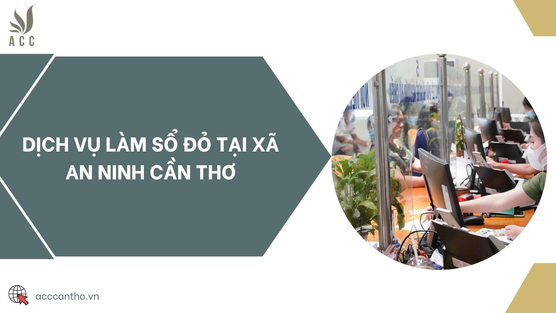 Dịch vụ làm sổ đỏ tại Xã An Ninh Cần Thơ
