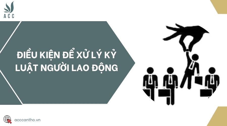 Điều kiện để xử lý kỷ luật người fv88 link